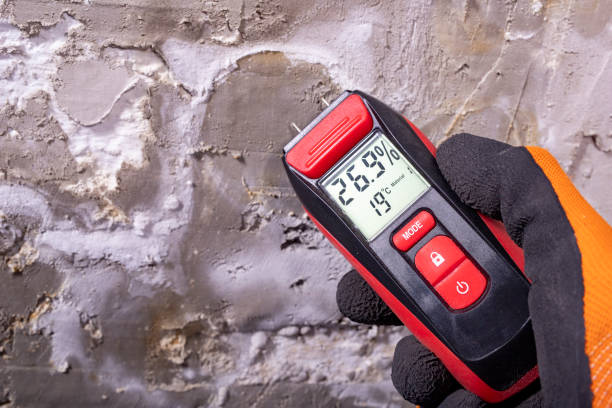 Best Local Mold Removal Service  in Lovejoy, GA